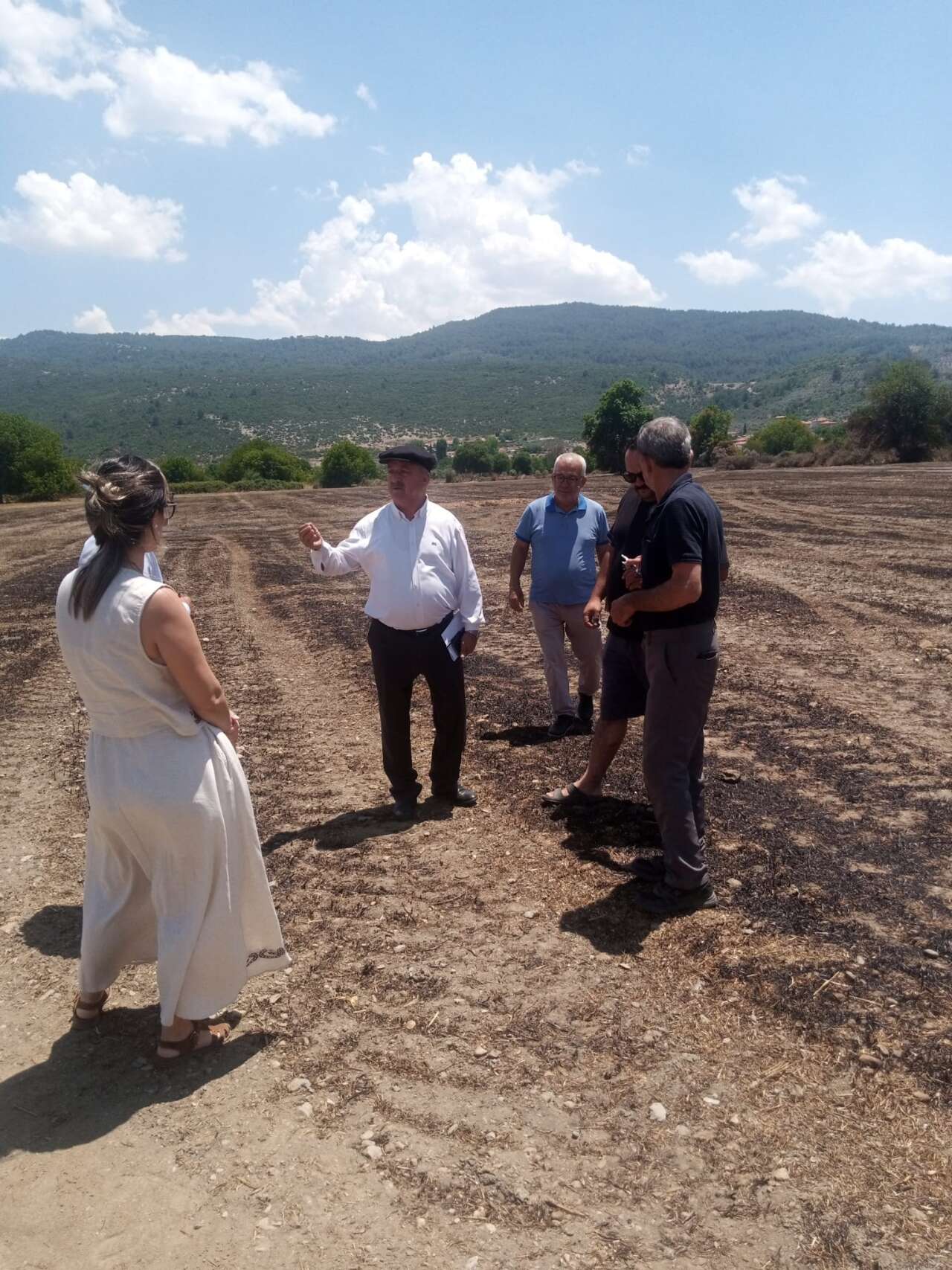 Yeşilyurt'taki Anız Yangınında 14 Ton Saman Kül Oldu: Menteşe Ziraat Odası Bölgede İnceleme Yaptı 3